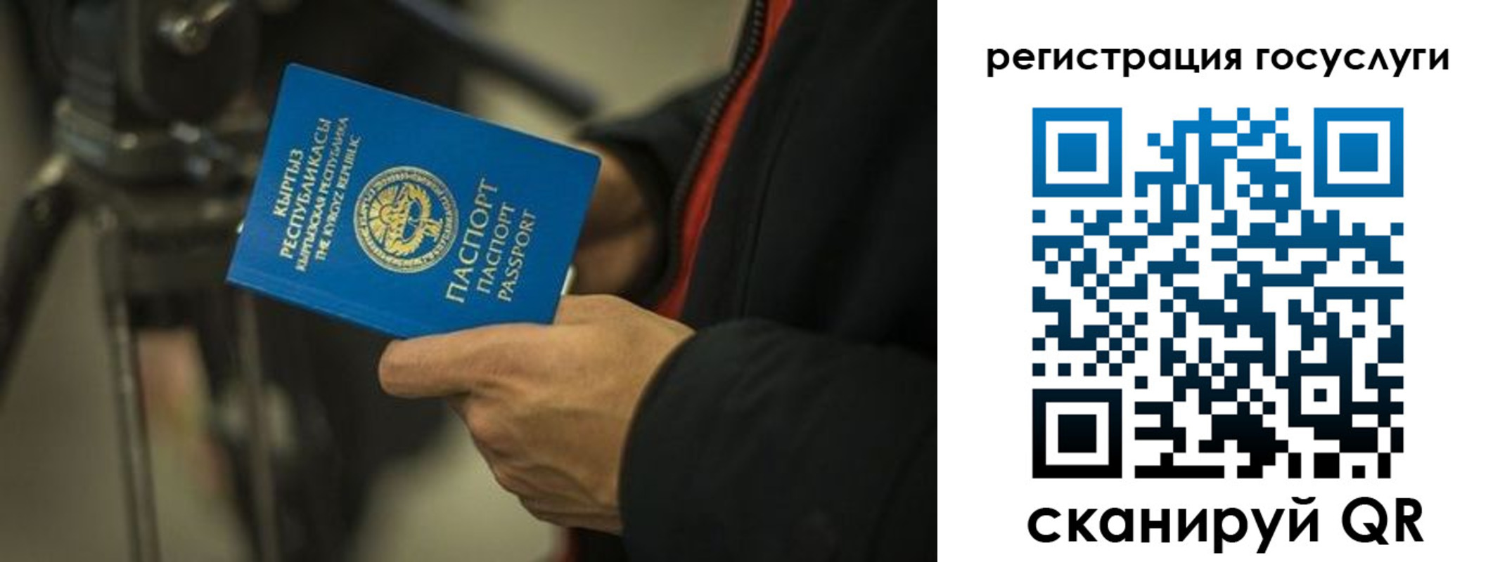 регистрация в Апатитах